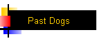 Past Dogs